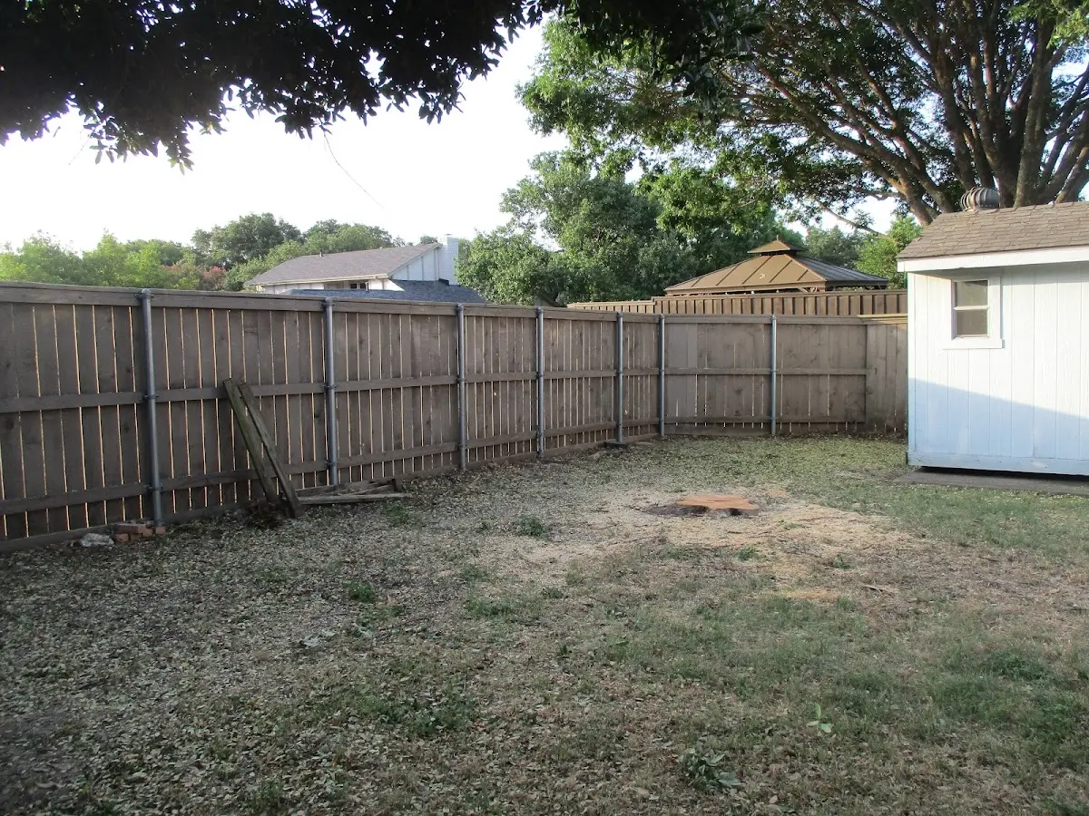 Cleared yard after professional tree removal in Tokeland